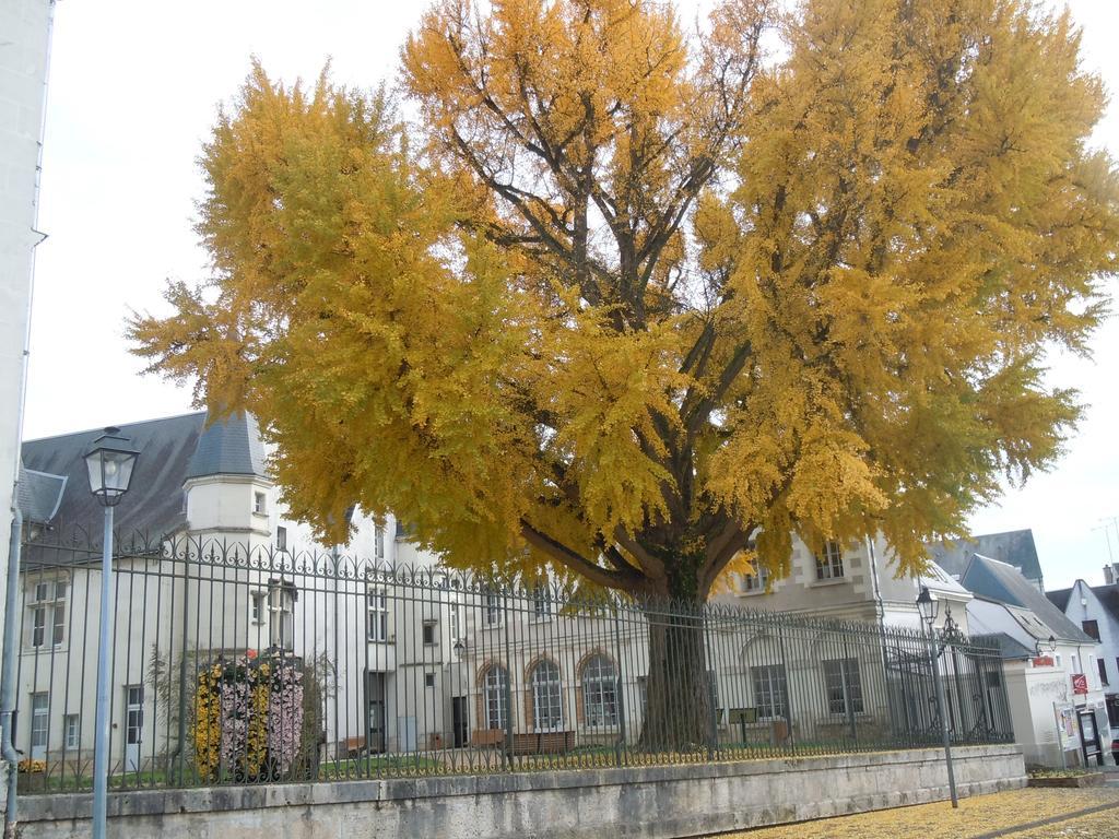 The Originals City, Hôtel Le Bellevue, Montrichard (Inter-Hotel) Exterior foto